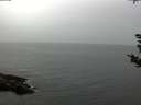 ./images/koeye/fitz-hugh/20180918/fitz-hugh20180918_162502.jpg