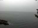 ./images/koeye/fitz-hugh/20180918/fitz-hugh20180918_163502.jpg