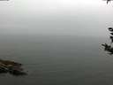 ./images/koeye/fitz-hugh/20180918/fitz-hugh20180918_170502.jpg