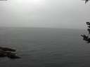./images/koeye/fitz-hugh/20180918/fitz-hugh20180918_173501.jpg