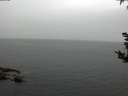 ./images/koeye/fitz-hugh/20180918/fitz-hugh20180918_185001.jpg