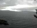./images/koeye/fitz-hugh/20180919/fitz-hugh20180919_074502.jpg