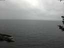 ./images/koeye/fitz-hugh/20180919/fitz-hugh20180919_084501.jpg