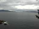 ./images/koeye/fitz-hugh/20180919/fitz-hugh20180919_111002.jpg