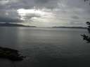 ./images/koeye/fitz-hugh/20180919/fitz-hugh20180919_145001.jpg