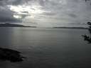 ./images/koeye/fitz-hugh/20180919/fitz-hugh20180919_145501.jpg