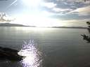 ./images/koeye/fitz-hugh/20180919/fitz-hugh20180919_165502.jpg