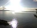 ./images/koeye/fitz-hugh/20180919/fitz-hugh20180919_171002.jpg