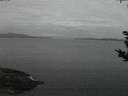 ./images/koeye/fitz-hugh/20180920/fitz-hugh20180920_063501.jpg