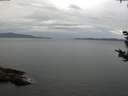 ./images/koeye/fitz-hugh/20180920/fitz-hugh20180920_083502.jpg
