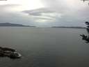./images/koeye/fitz-hugh/20180920/fitz-hugh20180920_091501.jpg