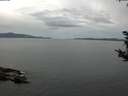 ./images/koeye/fitz-hugh/20180920/fitz-hugh20180920_093501.jpg