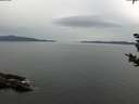 ./images/koeye/fitz-hugh/20180920/fitz-hugh20180920_140502.jpg