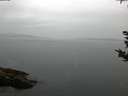 ./images/koeye/fitz-hugh/20180921/fitz-hugh20180921_075502.jpg