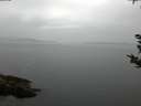 ./images/koeye/fitz-hugh/20180921/fitz-hugh20180921_080002.jpg