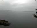 ./images/koeye/fitz-hugh/20180921/fitz-hugh20180921_080502.jpg