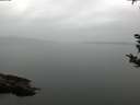 ./images/koeye/fitz-hugh/20180921/fitz-hugh20180921_081502.jpg