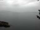 ./images/koeye/fitz-hugh/20180921/fitz-hugh20180921_082002.jpg