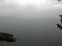 ./images/koeye/fitz-hugh/20180921/fitz-hugh20180921_082502.jpg