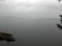 ./images/koeye/fitz-hugh/20180921/fitz-hugh20180921_084502.jpg