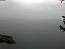 ./images/koeye/fitz-hugh/20180921/fitz-hugh20180921_085501.jpg
