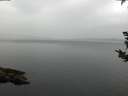 ./images/koeye/fitz-hugh/20180921/fitz-hugh20180921_092001.jpg