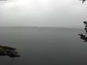 ./images/koeye/fitz-hugh/20180921/fitz-hugh20180921_092501.jpg