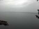 ./images/koeye/fitz-hugh/20180921/fitz-hugh20180921_093501.jpg