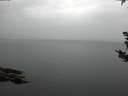 ./images/koeye/fitz-hugh/20180921/fitz-hugh20180921_094001.jpg