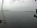 ./images/koeye/fitz-hugh/20180921/fitz-hugh20180921_121001.jpg