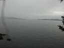 ./images/koeye/fitz-hugh/20180921/fitz-hugh20180921_132501.jpg