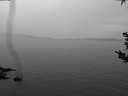 ./images/koeye/fitz-hugh/20180921/fitz-hugh20180921_134001.jpg