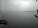 ./images/koeye/fitz-hugh/20180921/fitz-hugh20180921_145002.jpg