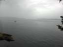 ./images/koeye/fitz-hugh/20180921/fitz-hugh20180921_145502.jpg
