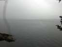 ./images/koeye/fitz-hugh/20180921/fitz-hugh20180921_151001.jpg