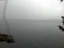 ./images/koeye/fitz-hugh/20180921/fitz-hugh20180921_151501.jpg