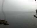 ./images/koeye/fitz-hugh/20180921/fitz-hugh20180921_152001.jpg