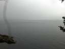 ./images/koeye/fitz-hugh/20180921/fitz-hugh20180921_152501.jpg