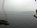 ./images/koeye/fitz-hugh/20180921/fitz-hugh20180921_154001.jpg