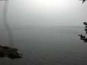 ./images/koeye/fitz-hugh/20180921/fitz-hugh20180921_155001.jpg