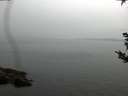 ./images/koeye/fitz-hugh/20180921/fitz-hugh20180921_155501.jpg