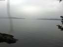 ./images/koeye/fitz-hugh/20180921/fitz-hugh20180921_164501.jpg