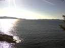 ./images/koeye/fitz-hugh/20180922/fitz-hugh20180922_160501.jpg