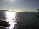./images/koeye/fitz-hugh/20180922/fitz-hugh20180922_164501.jpg