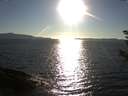 ./images/koeye/fitz-hugh/20180922/fitz-hugh20180922_175501.jpg