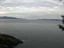 ./images/koeye/fitz-hugh/20180923/fitz-hugh20180923_080502.jpg