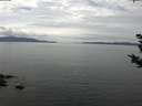 ./images/koeye/fitz-hugh/20180923/fitz-hugh20180923_115001.jpg