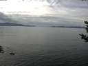 ./images/koeye/fitz-hugh/20180923/fitz-hugh20180923_133502.jpg