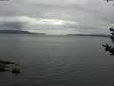 ./images/koeye/fitz-hugh/20180923/fitz-hugh20180923_145501.jpg