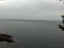 ./images/koeye/fitz-hugh/20180923/fitz-hugh20180923_154501.jpg